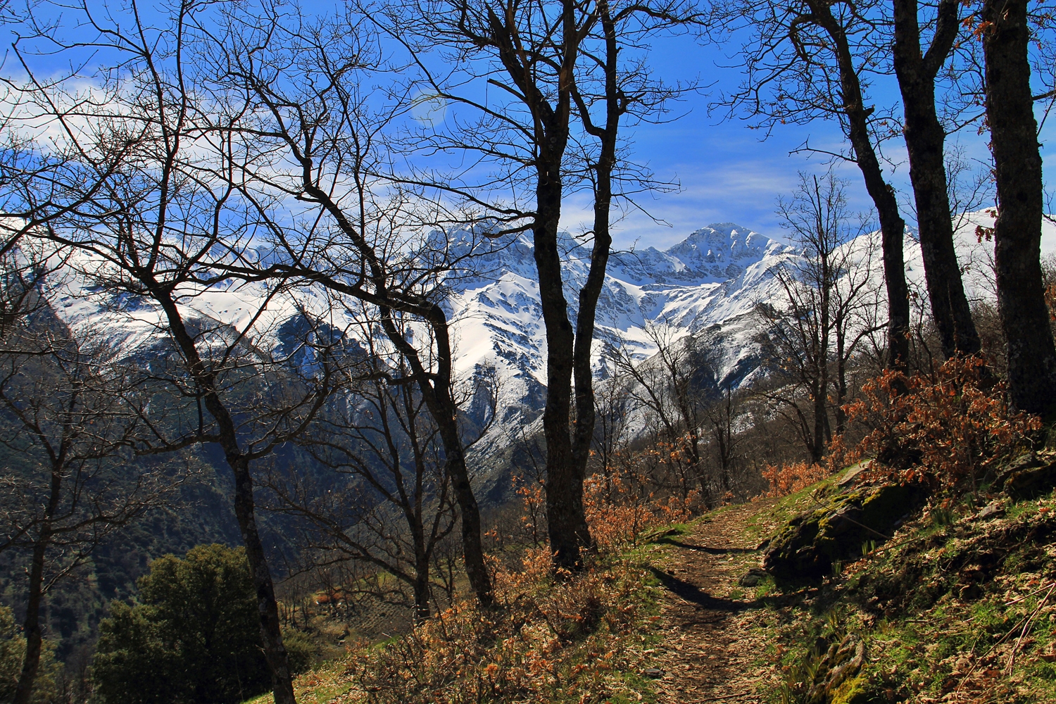 "Dehesa del Calvario" - PN Sierra de Nevada, Granada - LS06580