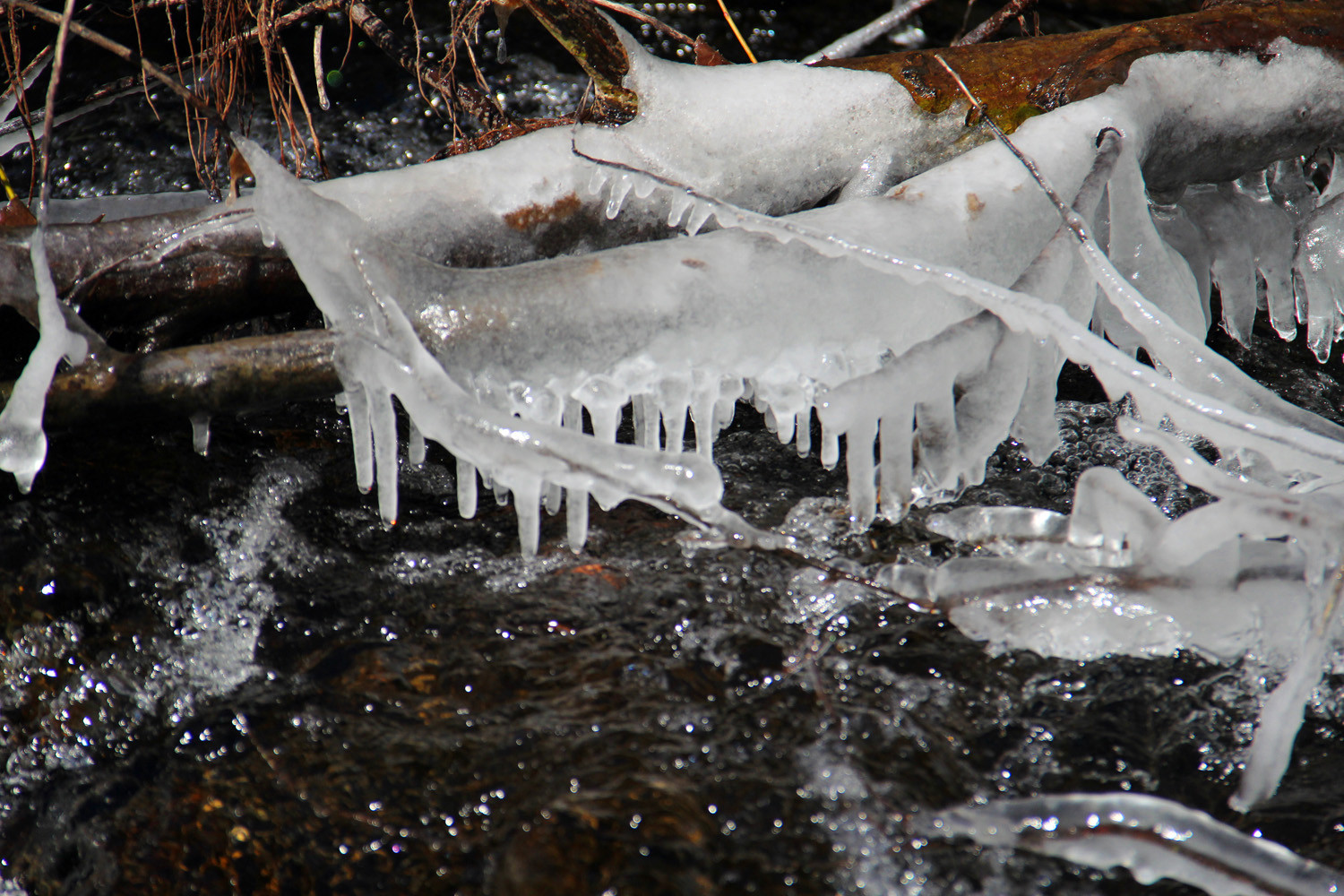 "Frozen Waterdrops" - PN Sierra Nevada - DF01017