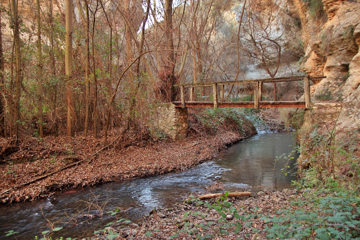 "The Wooden Bridge" - Rio Cacin, Cacin, Granada - B05110