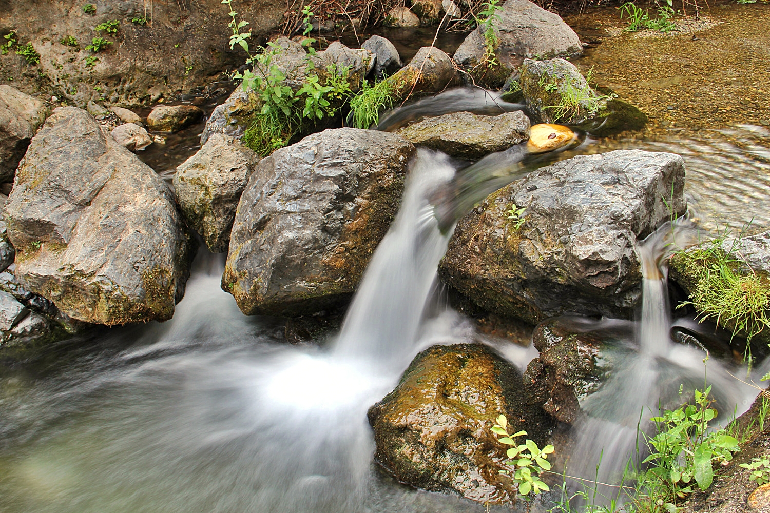 "Rio Monachil" - Monachil, Granada - WC05242