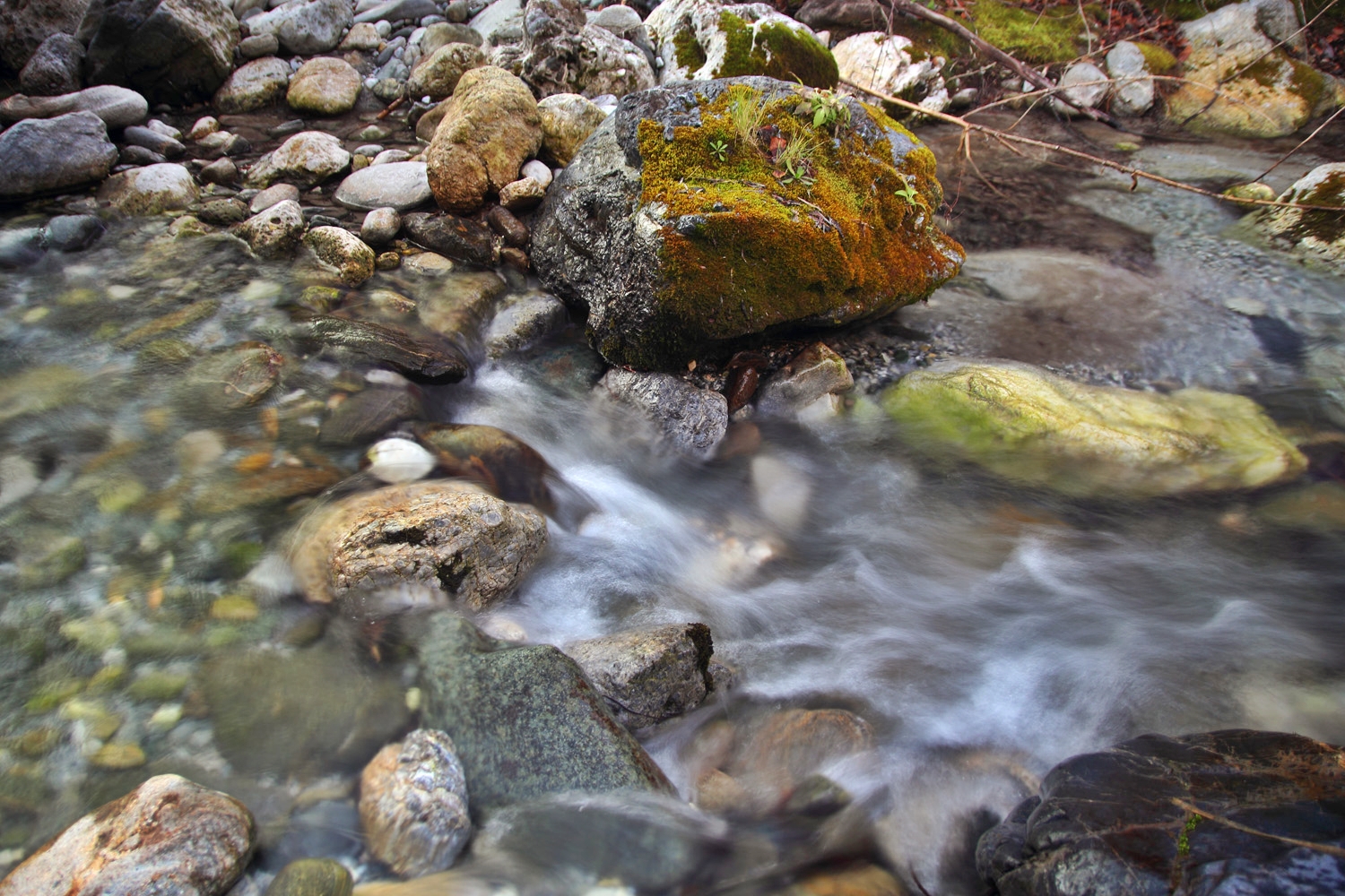 "Rio Dilar" - Dilar, PN Sierra Nevada,Granada - R05823