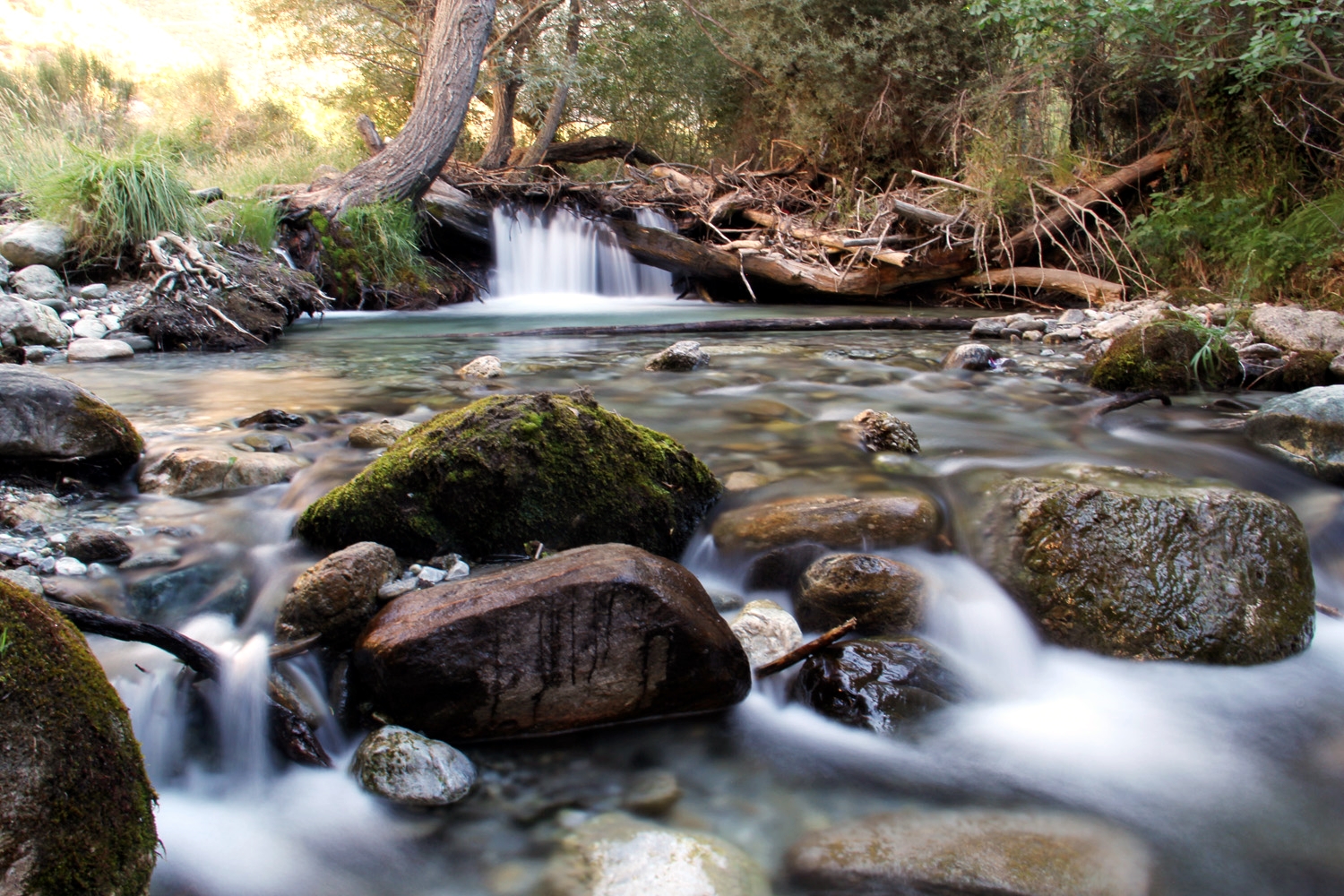 "Rio Dilar" - PN Sierra de Nevada, Granada - WF08453