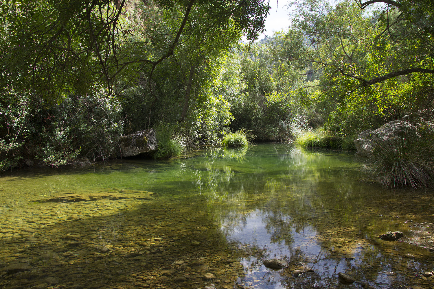 "Still Waters" - PN Sierra de Cazorla - R00439