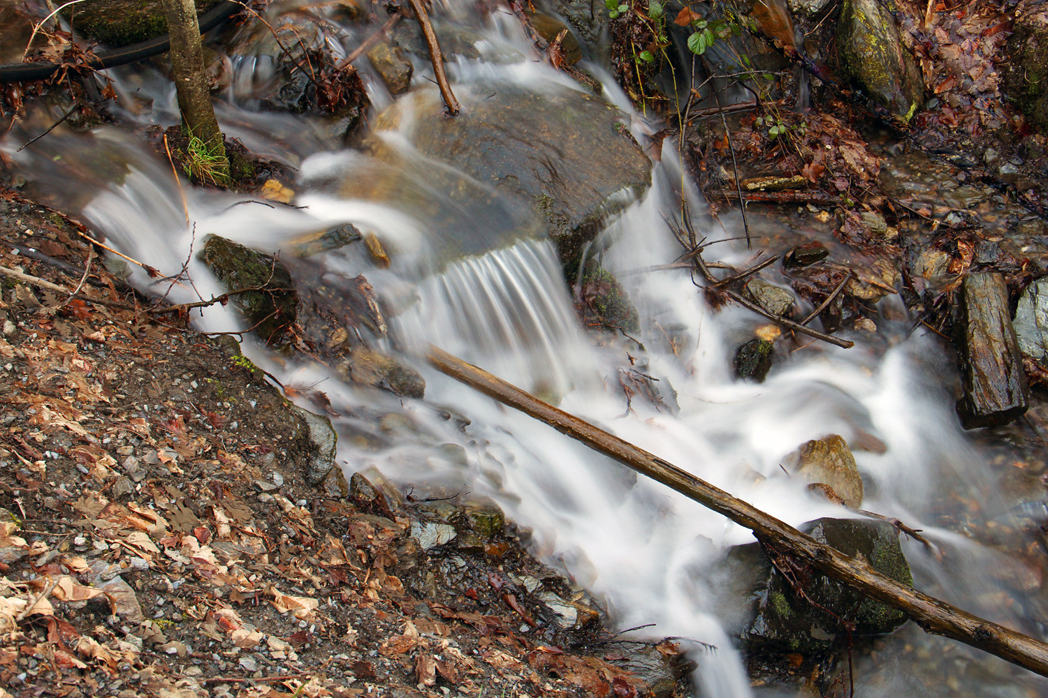 "Mountain Water" - PN Sierra Nevada, Granada - WC06455