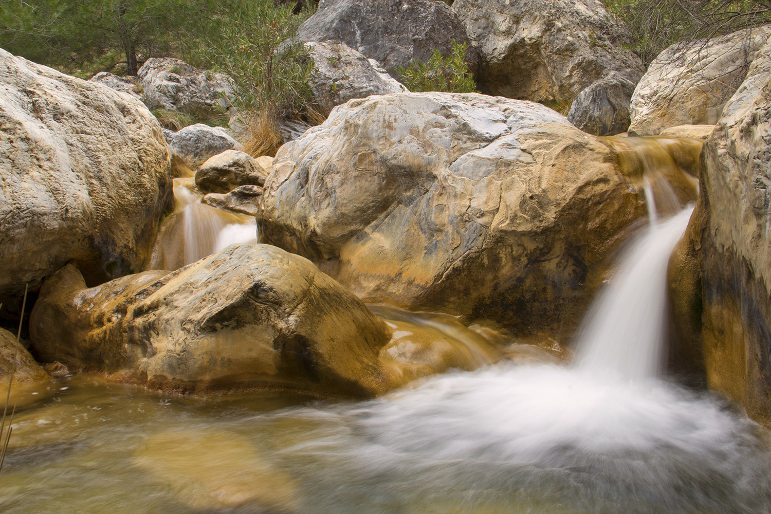 "Rio Verde" - PN Tejada, Granada - WF05872