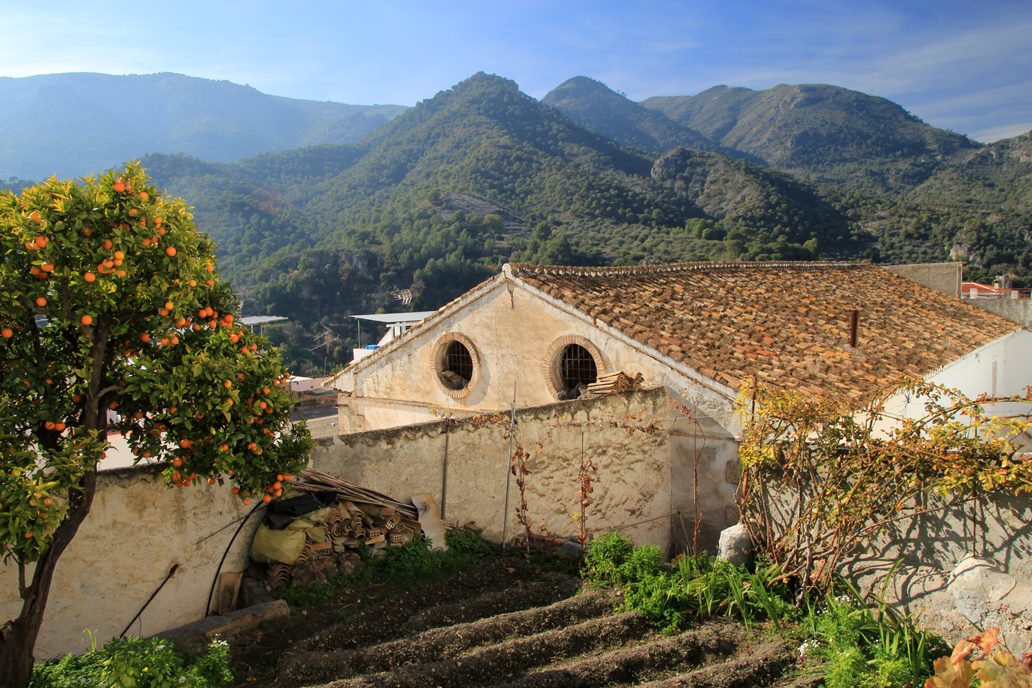 Faraguit, granada - V09991