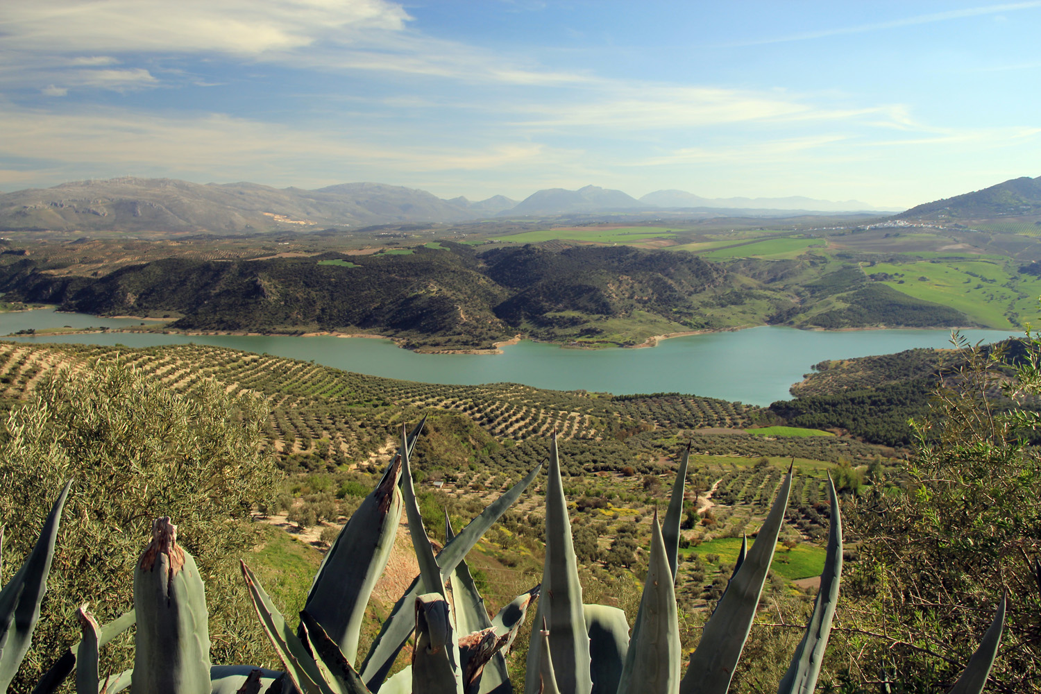 "Iznájar" - Fuentes de Cesna, Granada - L07532