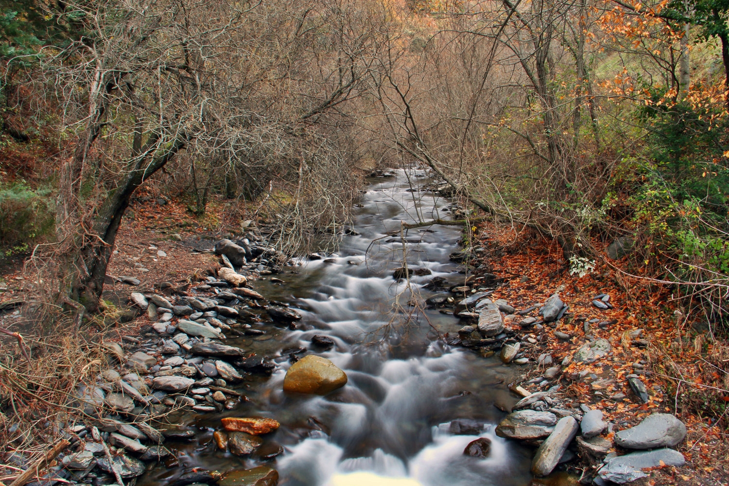 "Rio Genil" - PN Sierra Nevada, Granada - R04381