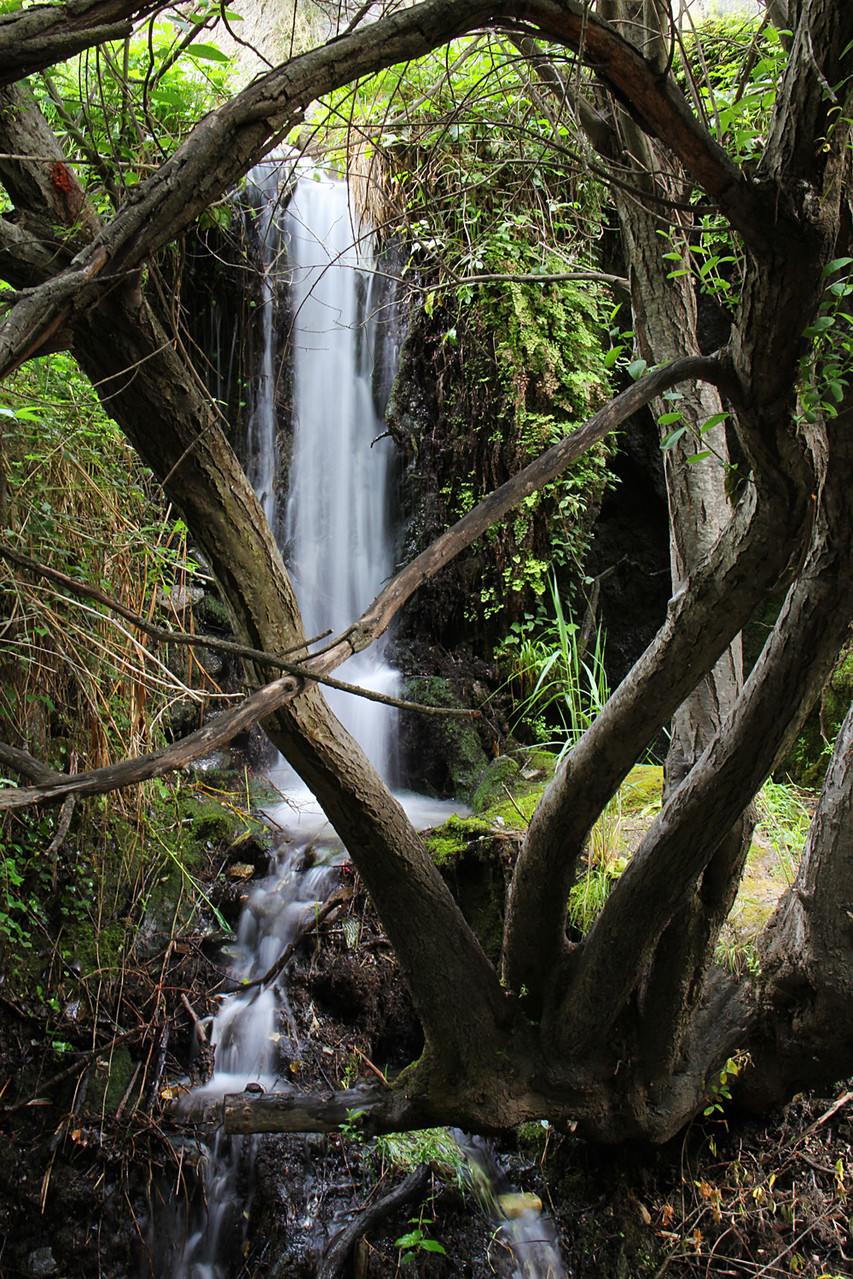 "Rio Monachil" - PN Sierra de Nevada, Granada - WF05185