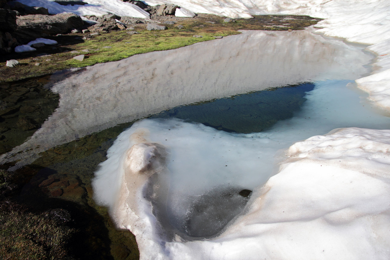 "Snow Reflection" - PN Sierra Nevada - DF09577