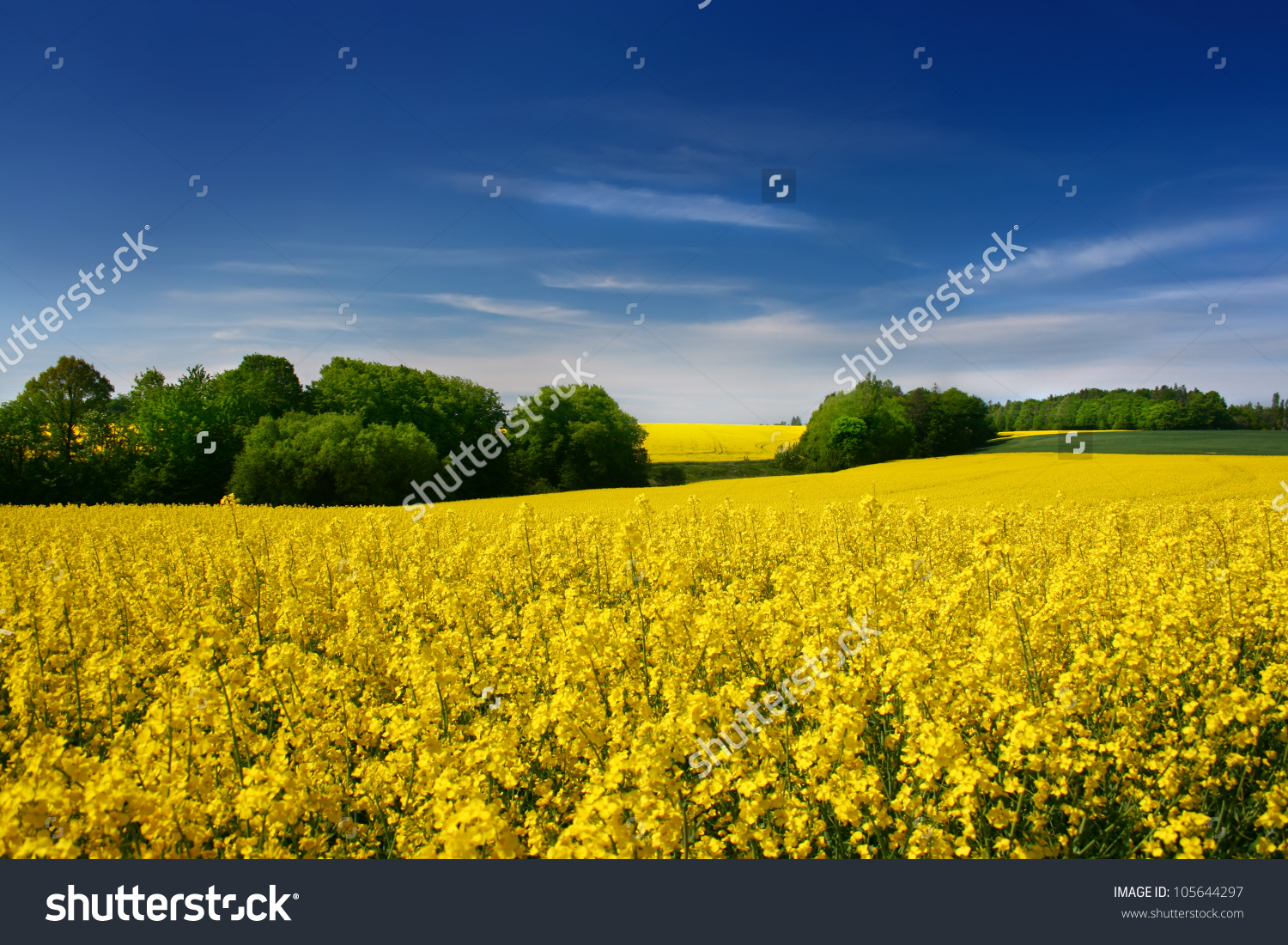 105644297