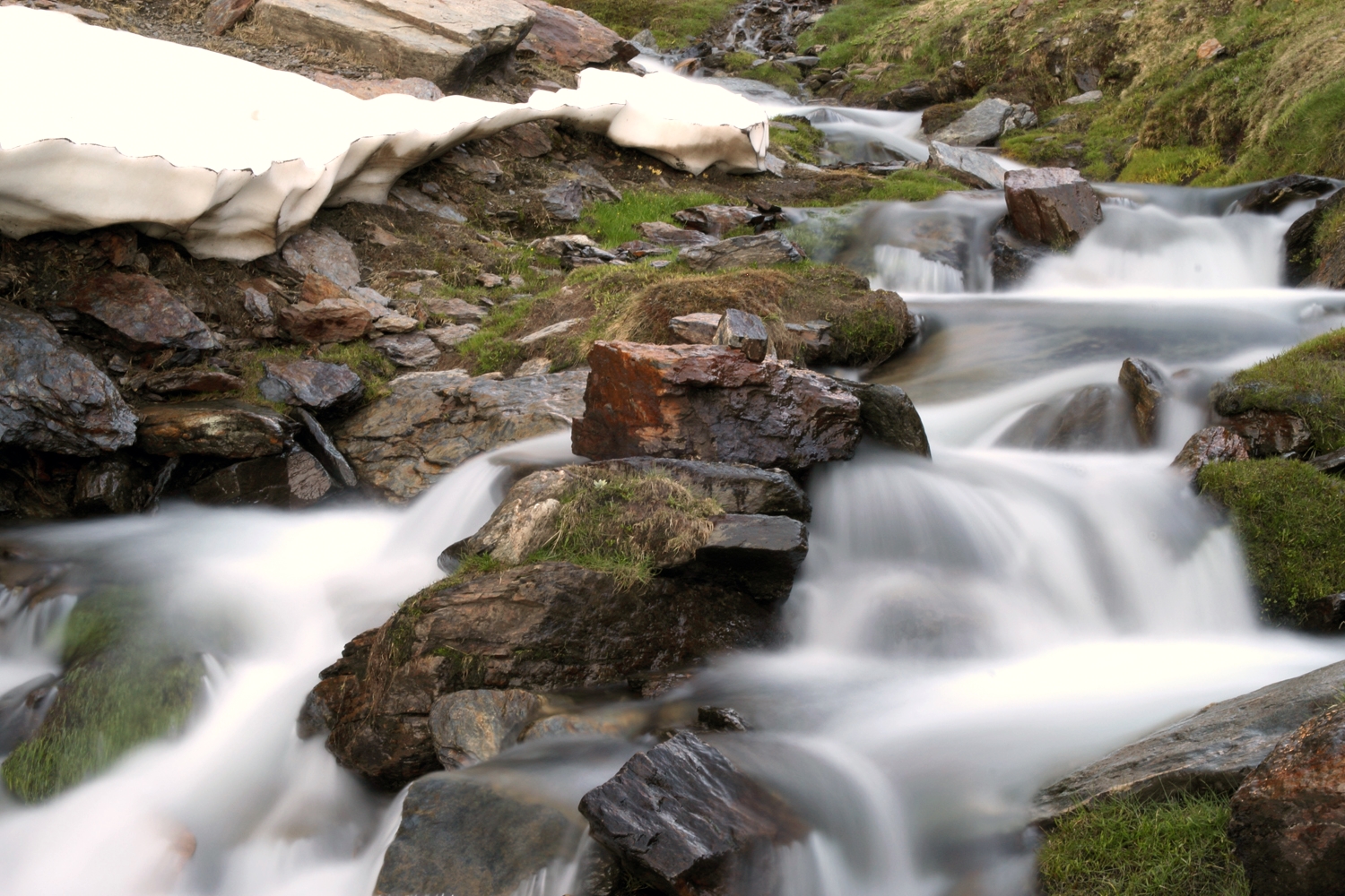 "Ice Water"- PN Sierra Nevada - DF09156