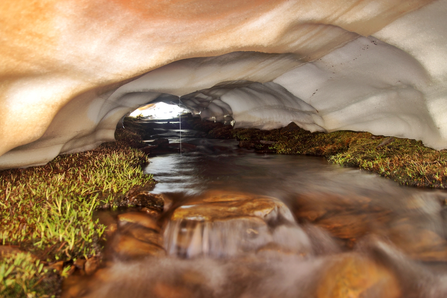 "Tunnel 2014"- PN Sierra Nevada - US00580