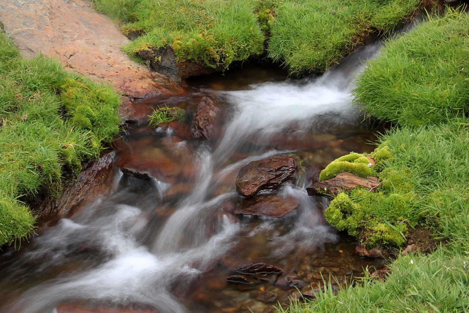 "Mountain Water" - PN Sierra Nevada, Granada - WC05290