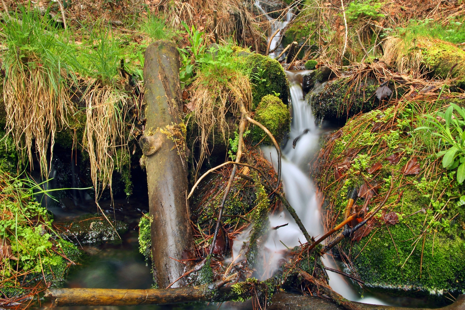 "Mountain Water" - PN Sierra Nevada, Granada - WC08659