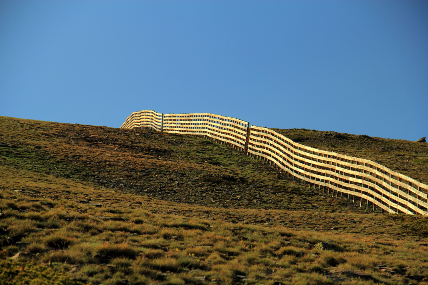 "The Fence" - PN Sierra de Nevada, Granada - LS06299