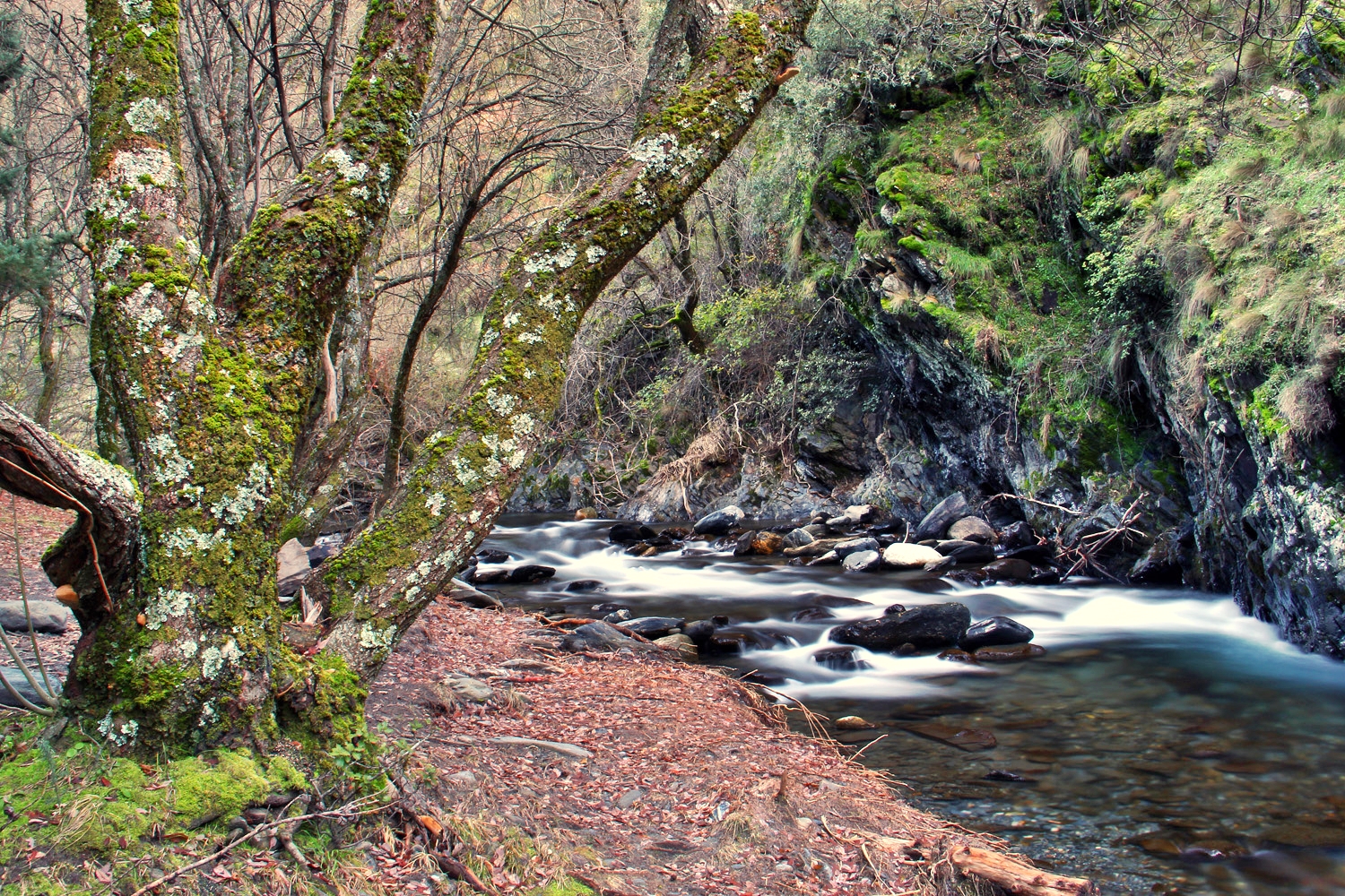 "Rio Genil" - PN Sierra Nevada, Granada - R04369