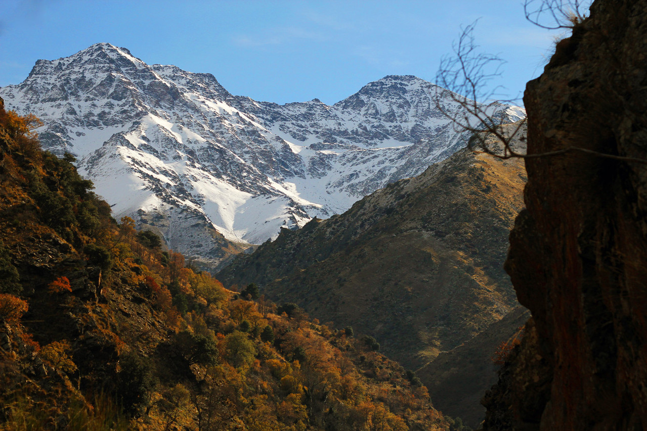 "Mulhacen" - PN Sierra Nevada, Granada - LS09761