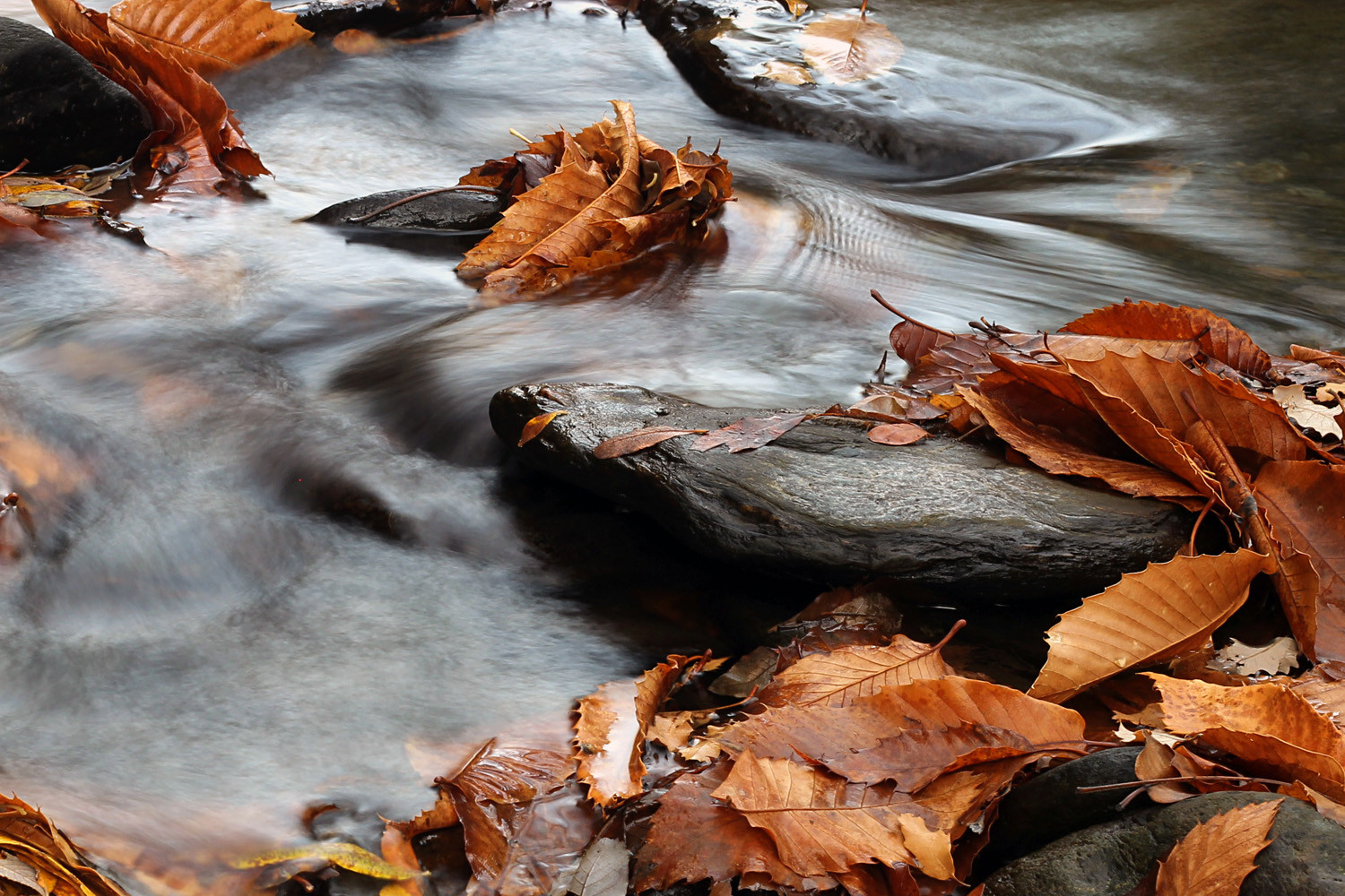 "Autumn River" Rio de Genil, Granada - WC00069