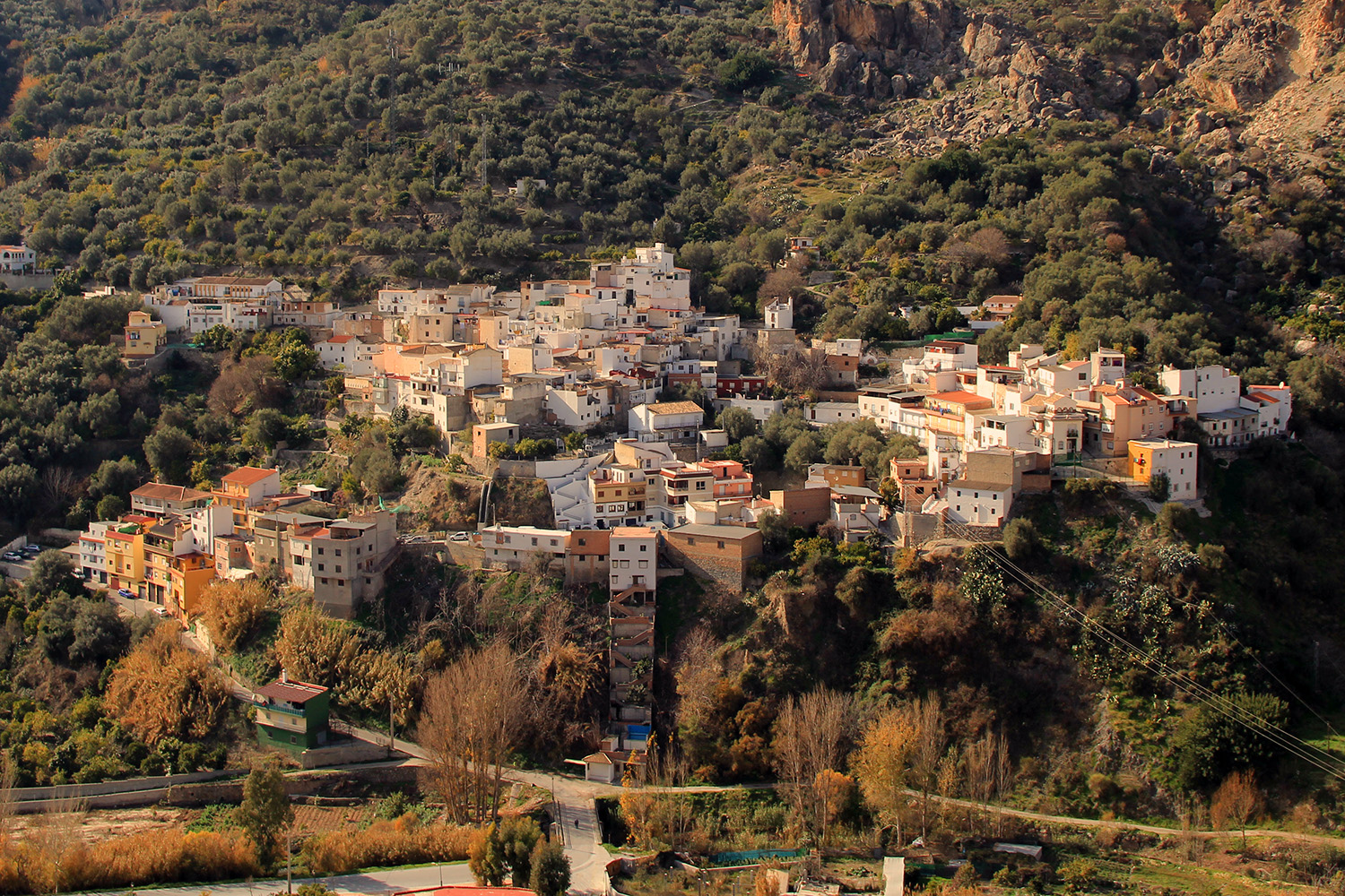 Ízbor, Granada - V01899