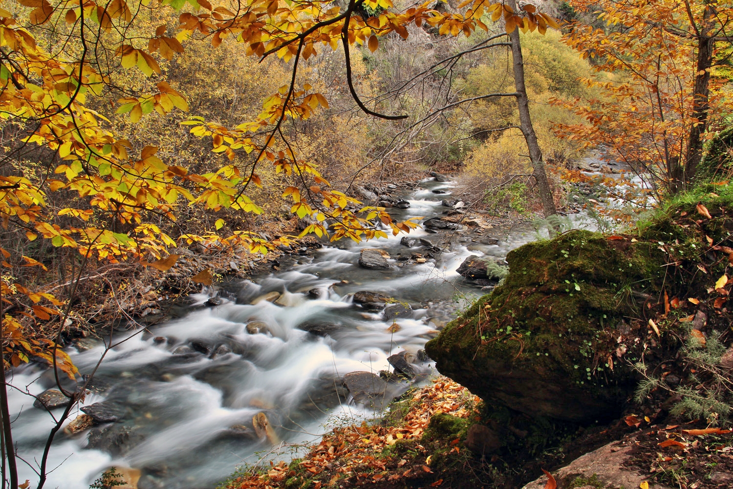 "Rio Genil" - PN Sierra Nevada, Granada - R03392