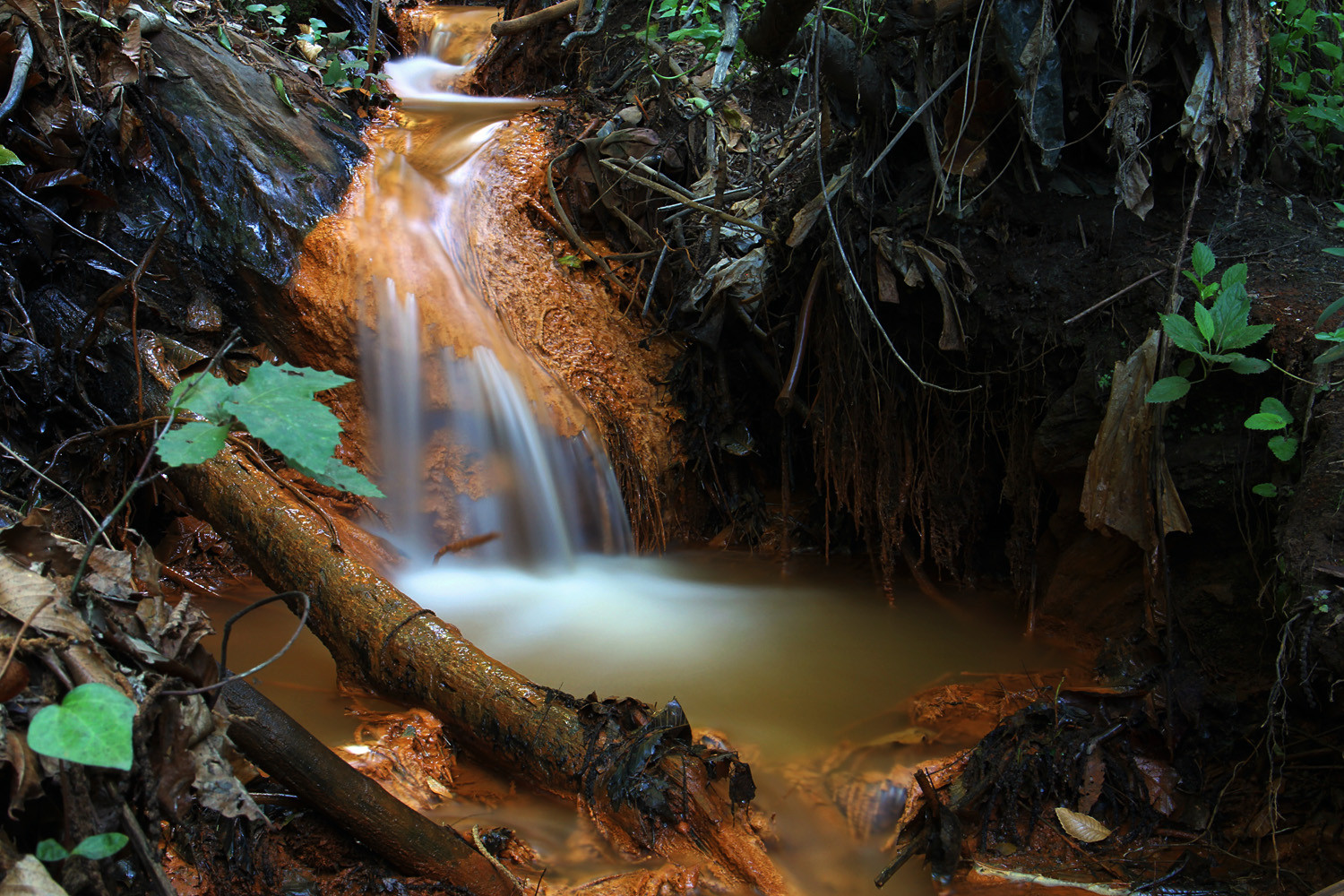 "Iron River" - Portugos, PN Sierra de Nevada, Granada - WF01071