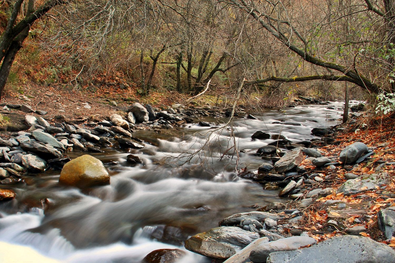 "Rio Genil" - PN Sierra Nevada, Granada - R04396