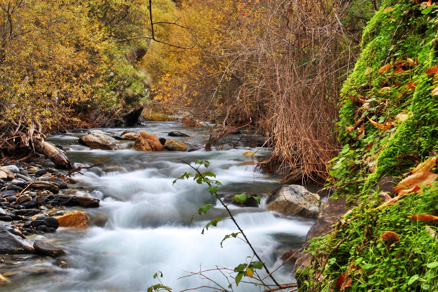 "Rio Genil" - PN Sierra Nevada, Granada - R03409