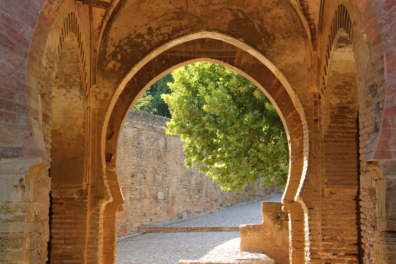 Alhambra, Granada - ALH04782