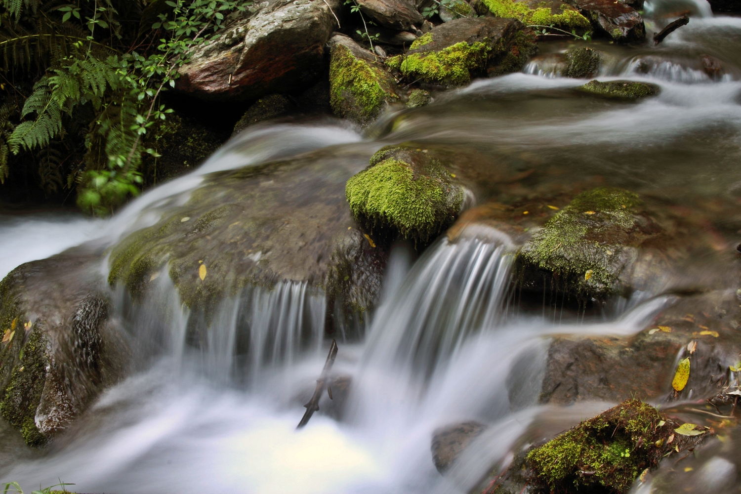 Rio de Genil, Granada - WC01399