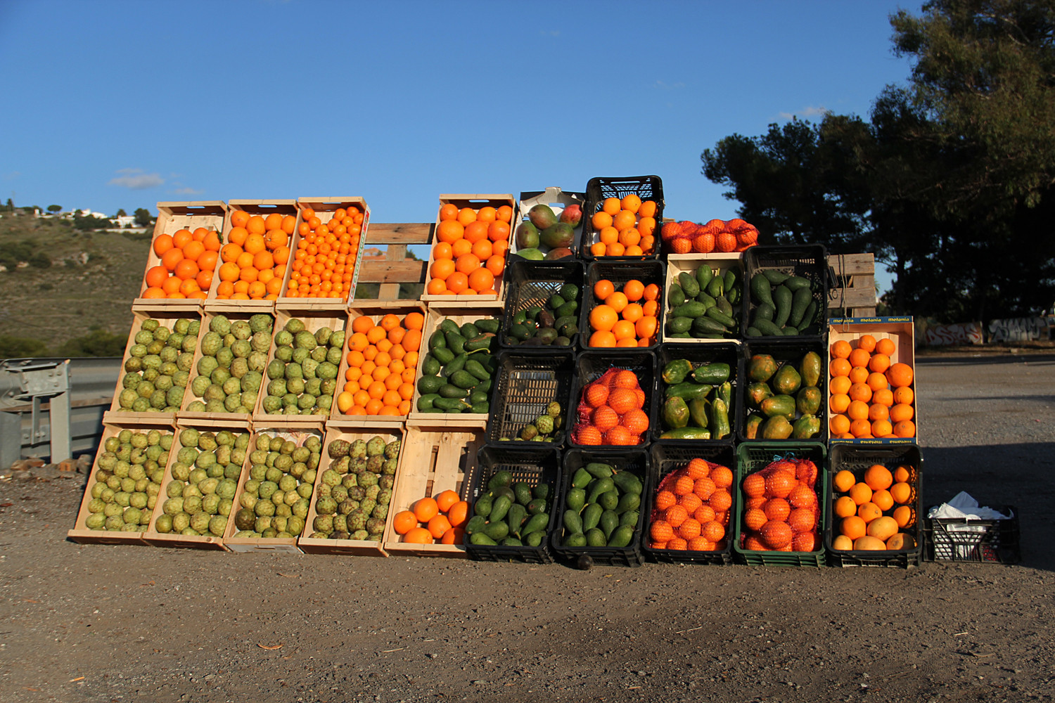 "The Color of Fruit" - Almuñecar, Granada - F04925