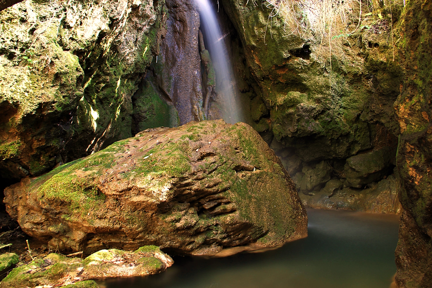 "Padro Negro" - PN Sierra de Huetor, Granada - WF07988