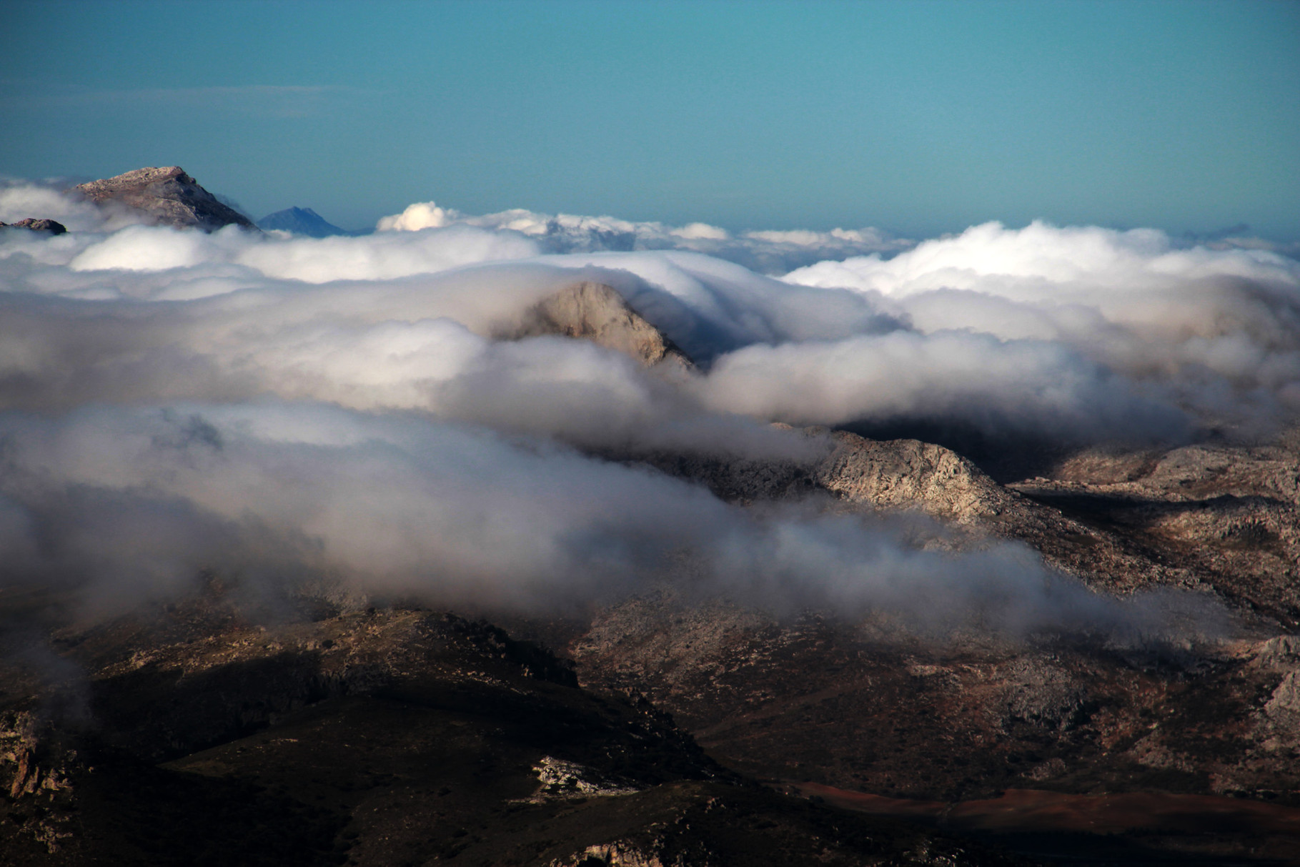 "The Carpet" - PN Sierra Nevada, Granada - MC00009