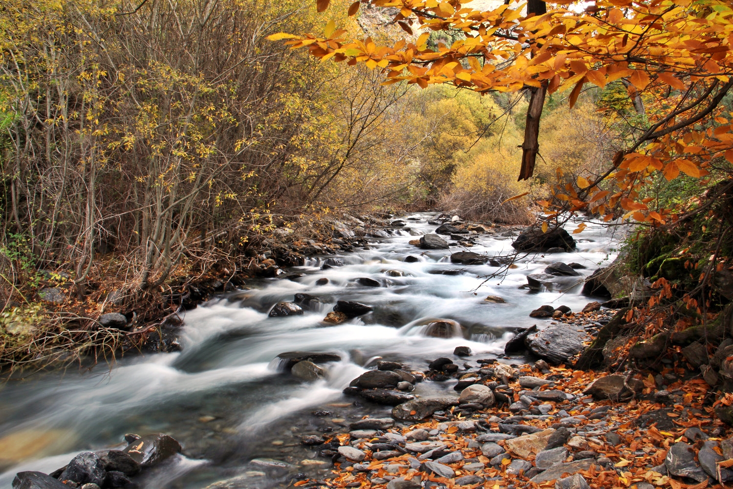 "Rio Genil" - PN Sierra Nevada, Granada - R03454