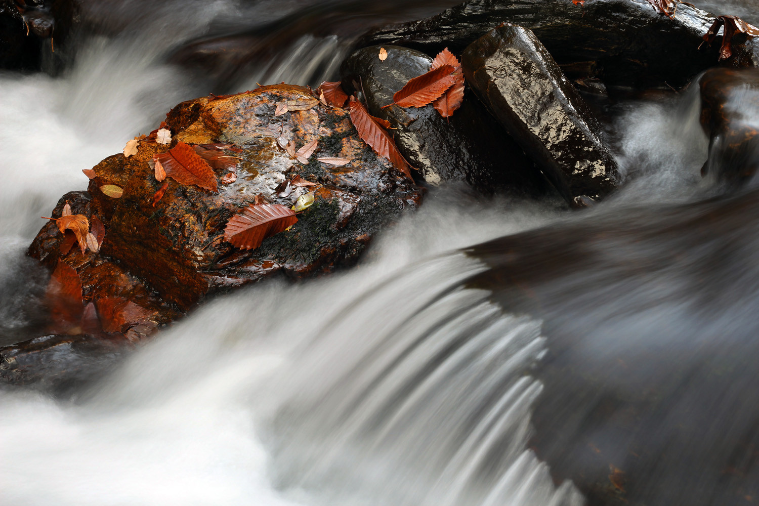 "Autumn Water" - Rio Genil, PN Sierra Nevada, Granada - WC00076