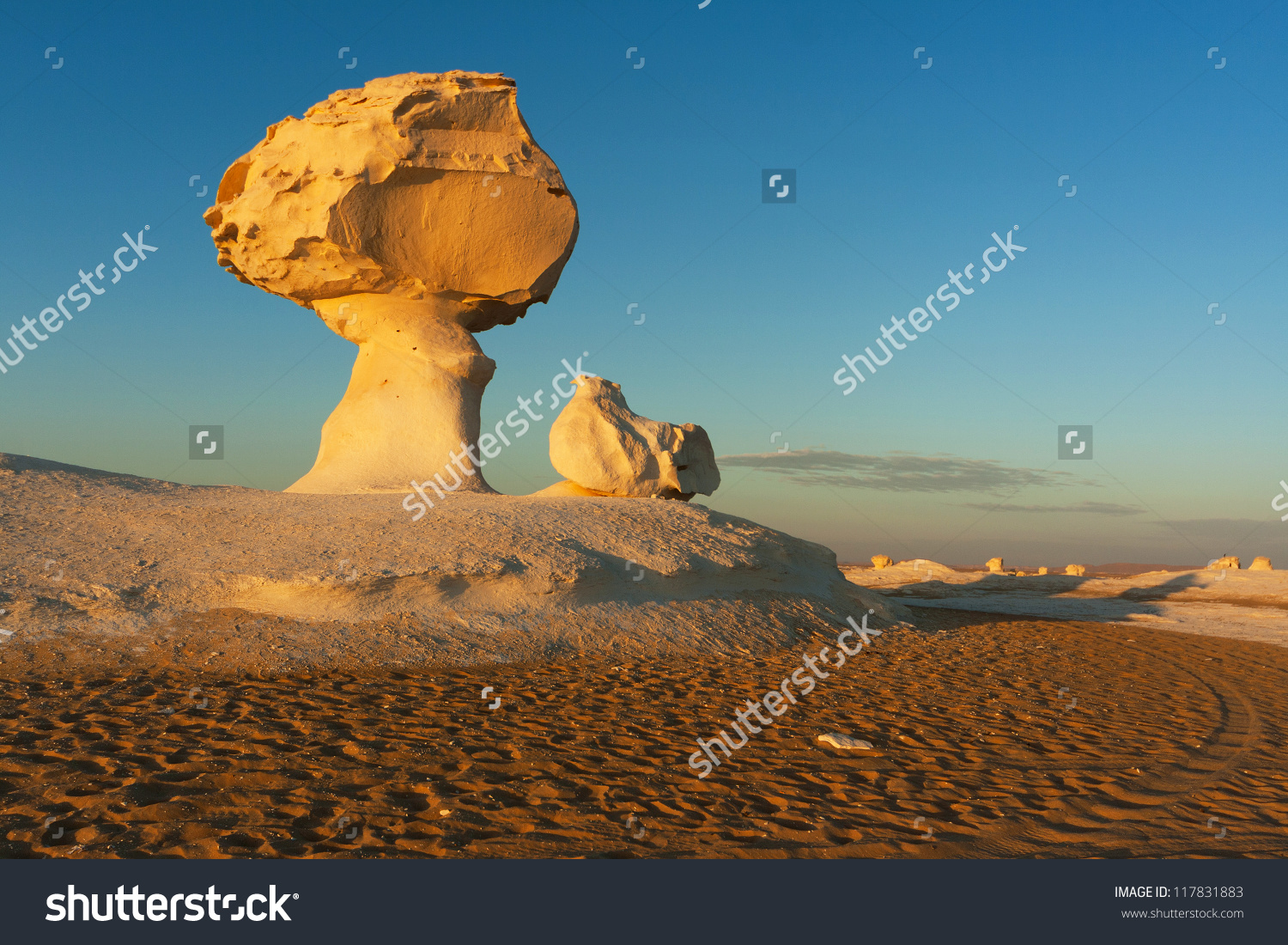 117831883
