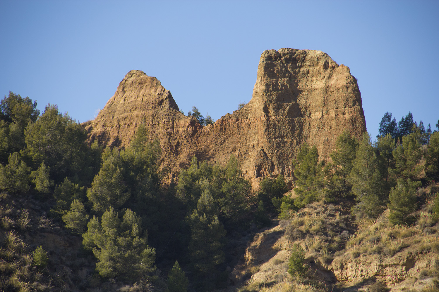 "Carcavas de Marchal" - Guadix, Granada - DR04334