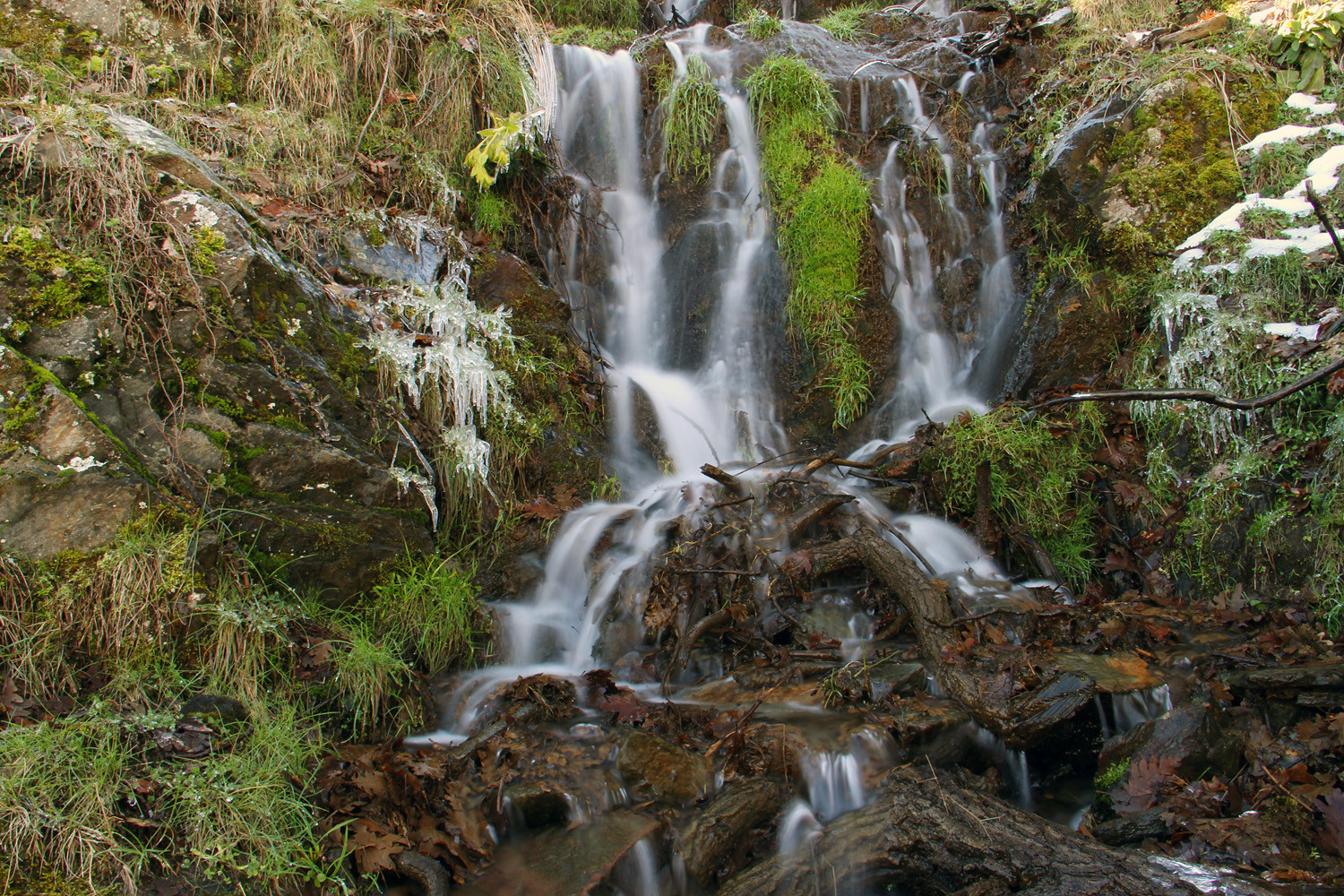 PN Sierra de Nevada, Granada - WF06566