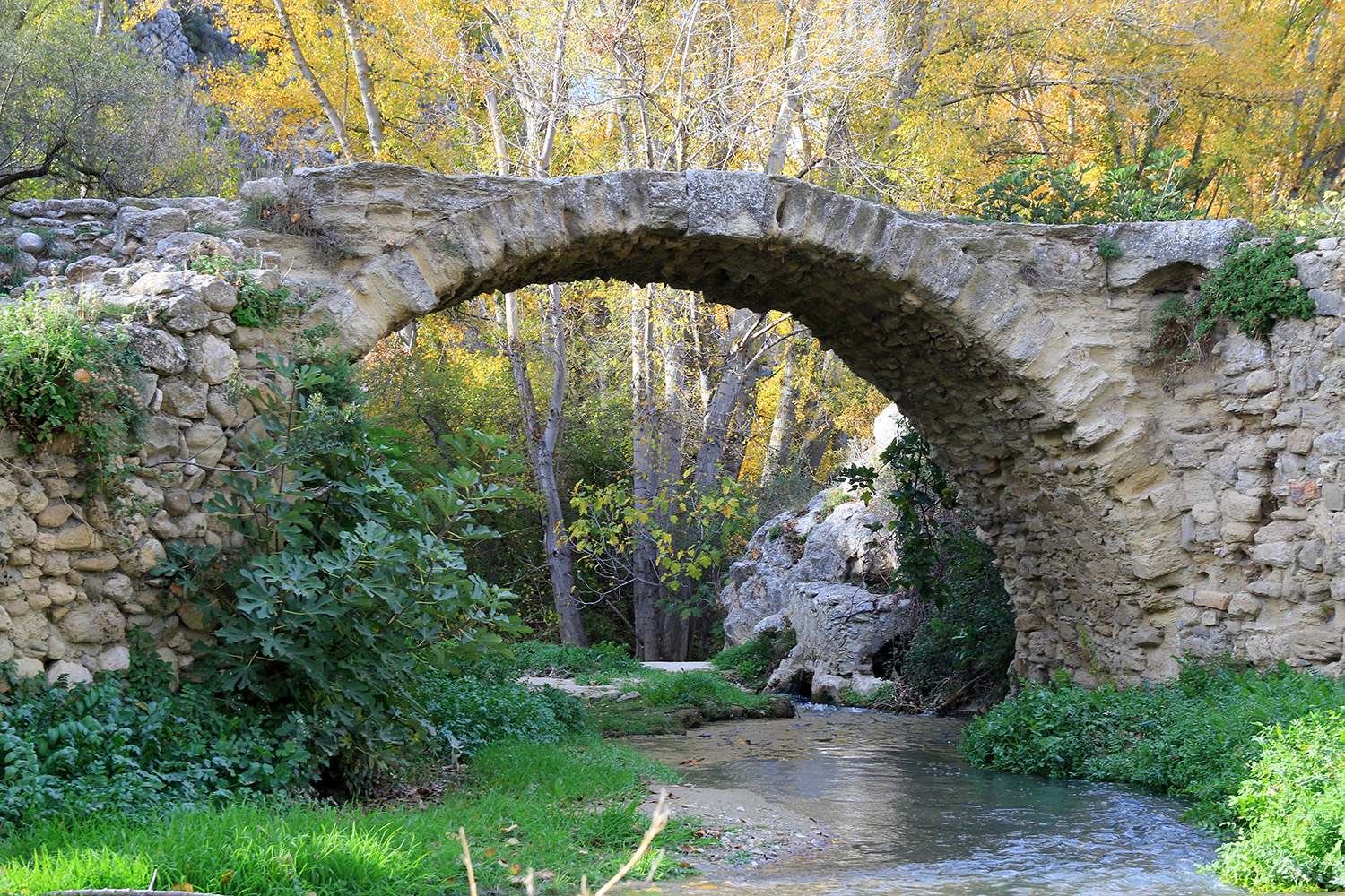 "Roman Bridge" - Alhama de Granada - B01239