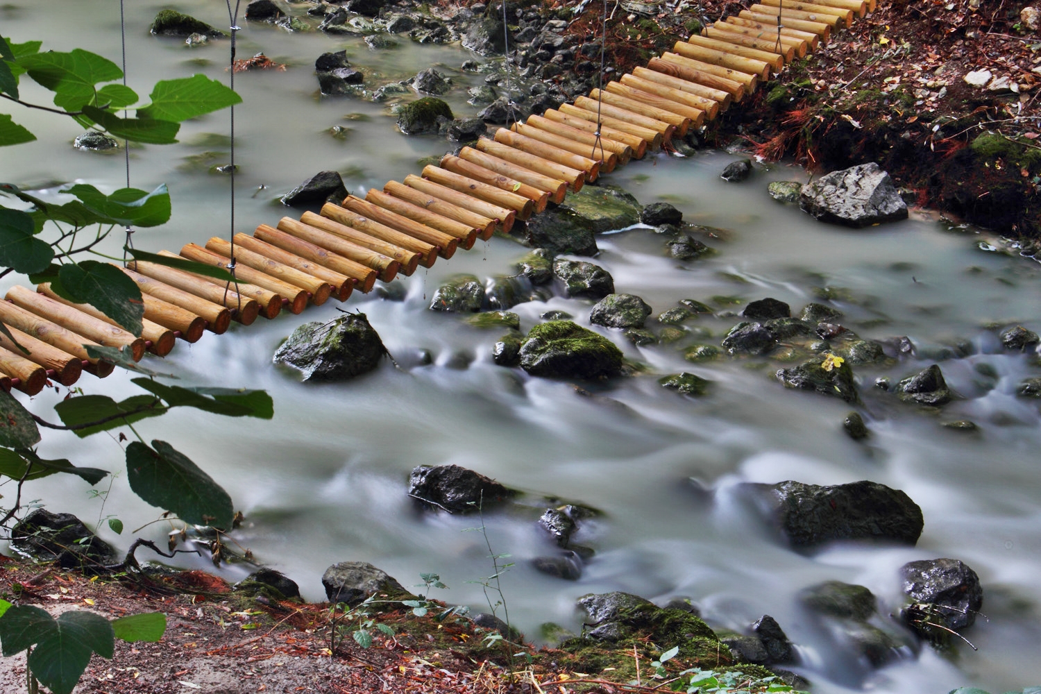 "The Tree Bridge II" - Rio Cacin, Cacin, Granada - B00867