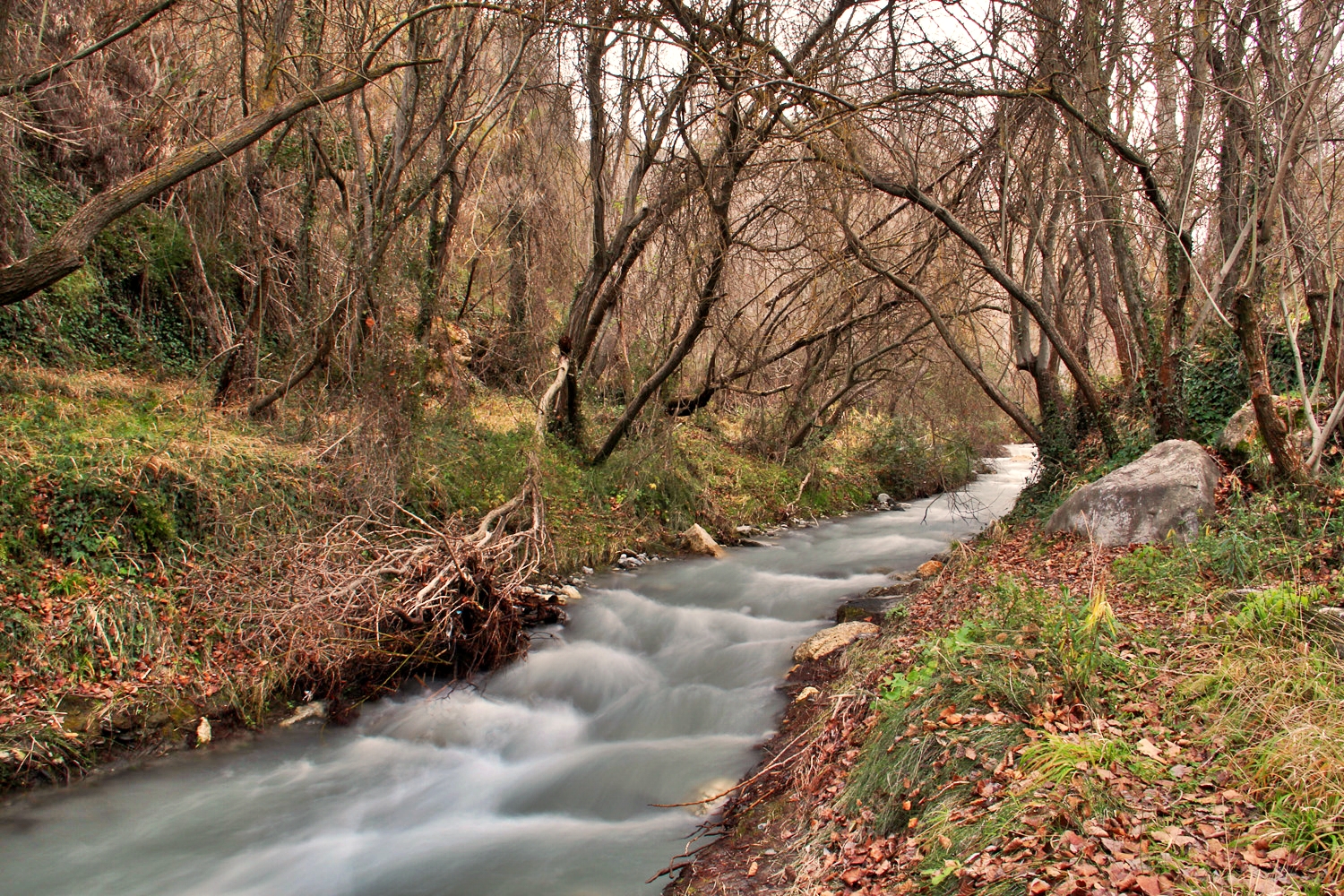 "Rio Durcal" - PN Sierra Nevada, Granada - R05156