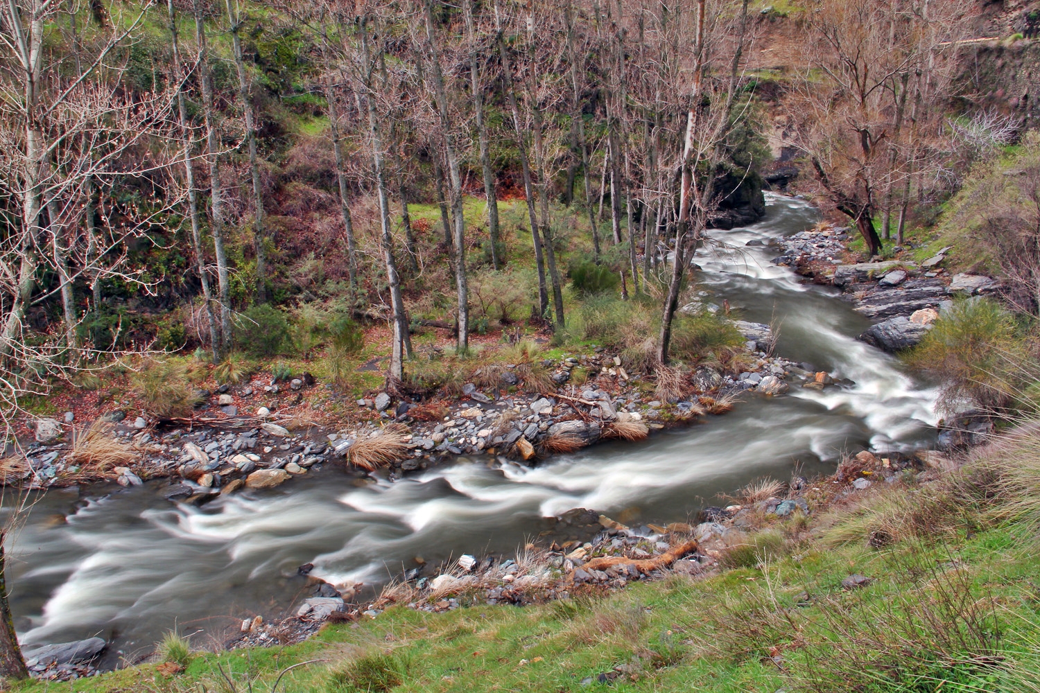 "Rio Genil" - PN Sierra Nevada, Granada - R06229