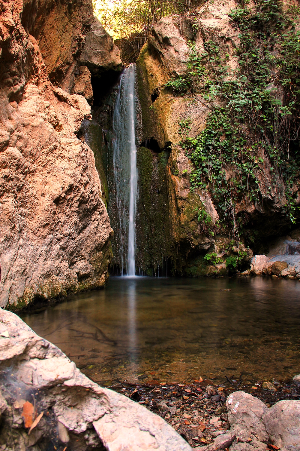 "Padro Negro" - PN Sierra de Huetor, Granada - WF07926