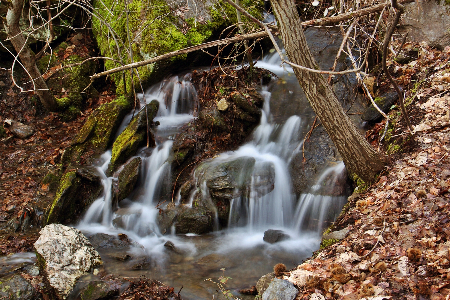 "Spring Water" - PN Sierra de Nevada, Granada - WF06447