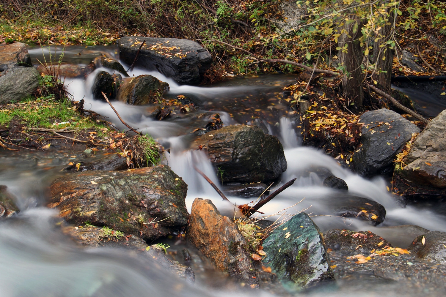 "Rio Genil" - PN Sierra Nevada, Granada - R03373