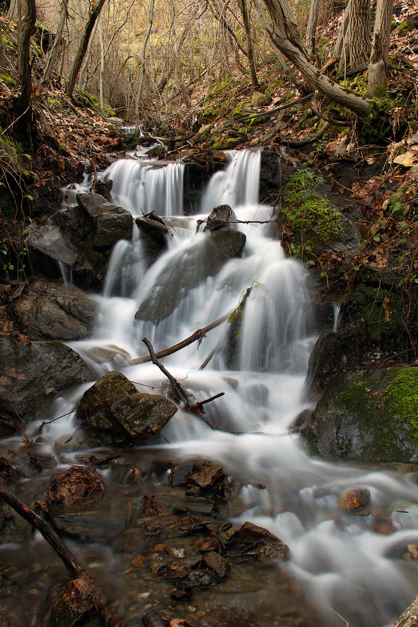 "Spring Water" - PN Sierra Nevada, Granada - WF06422