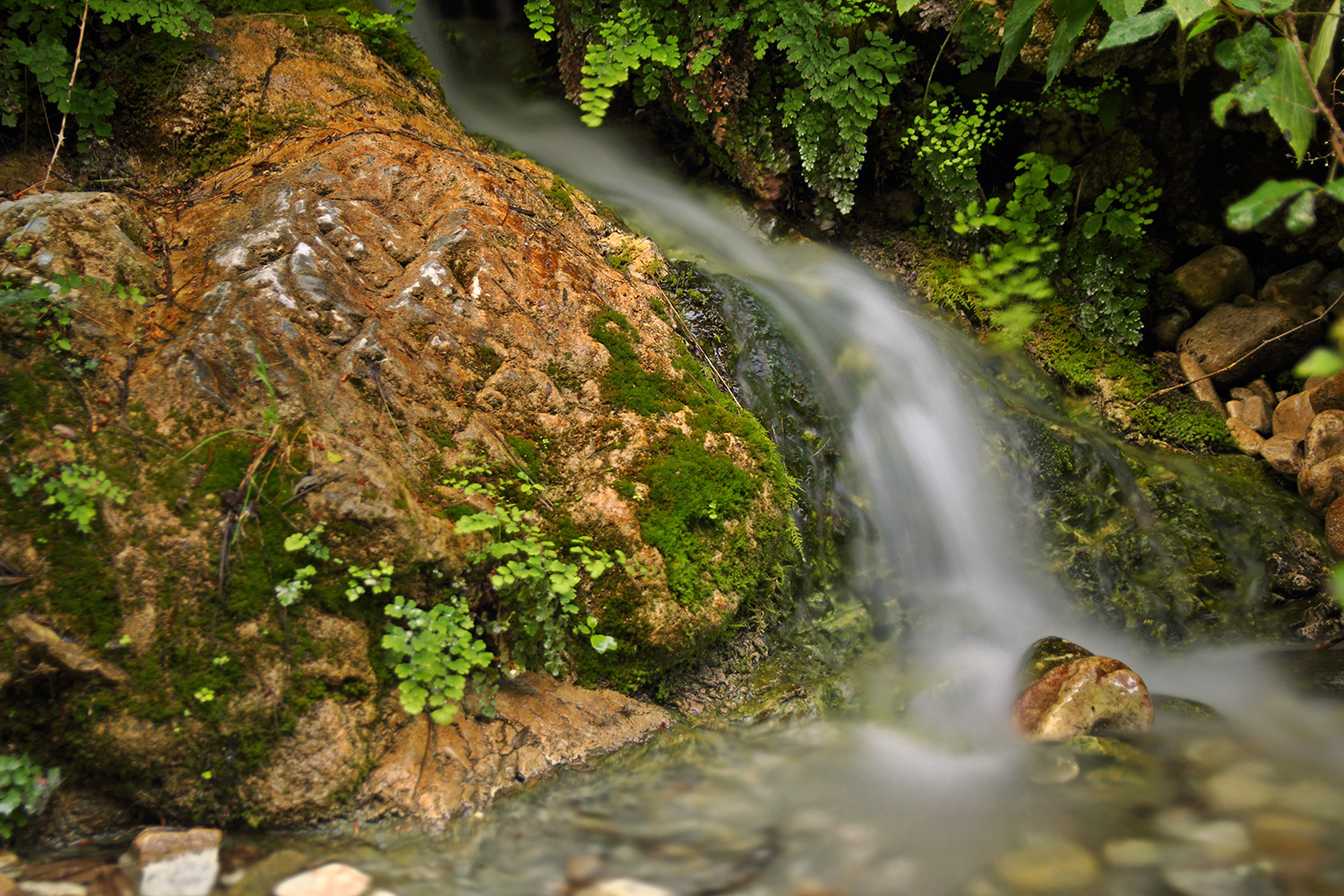 "Rio Verde" - PN Tejada, Granada - WC06847