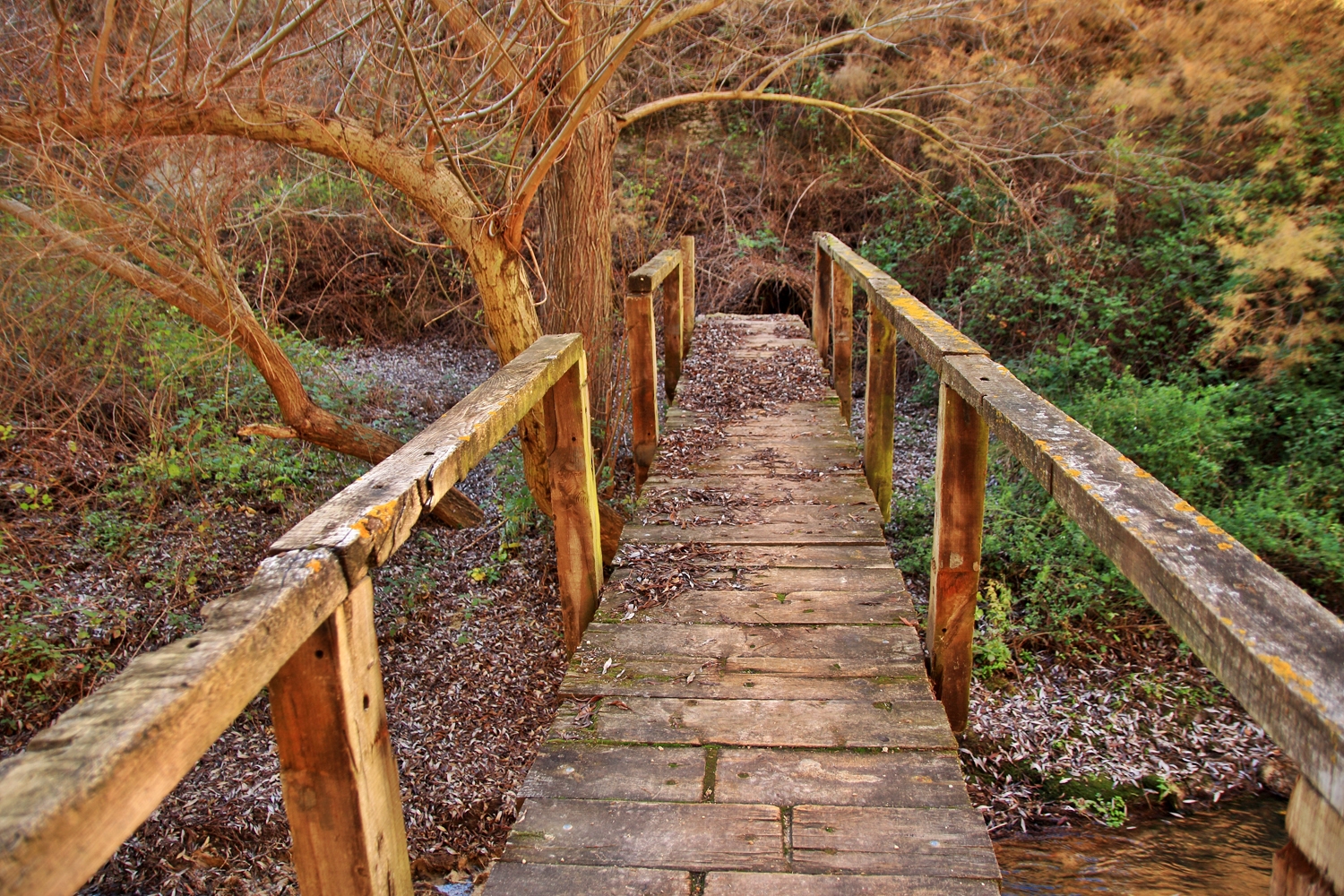 "The Wooden Bridge" - Rio Cacin, Cacin, Granada - B05106