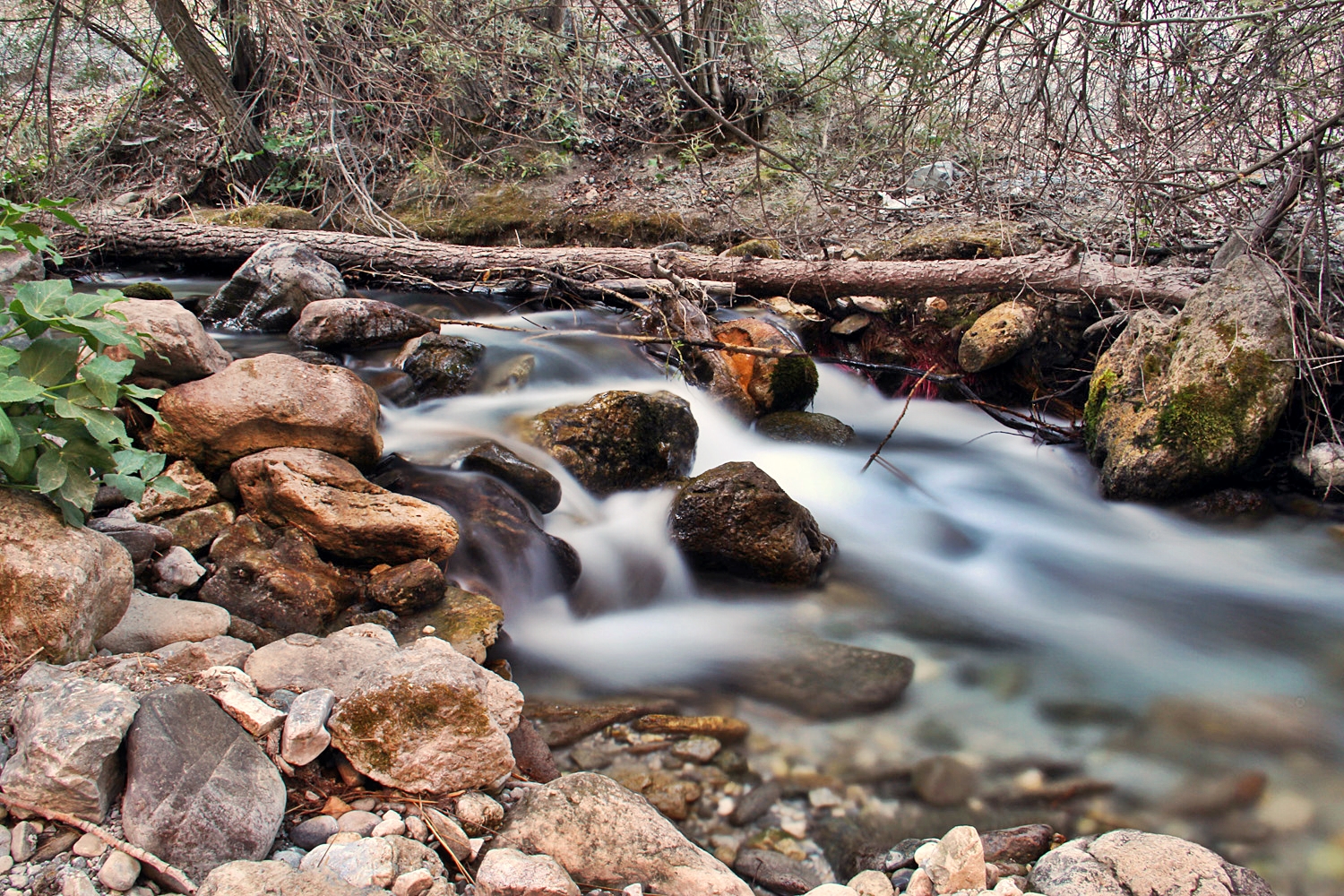 "Rio Dilar" - Dilar, Granada - R08435