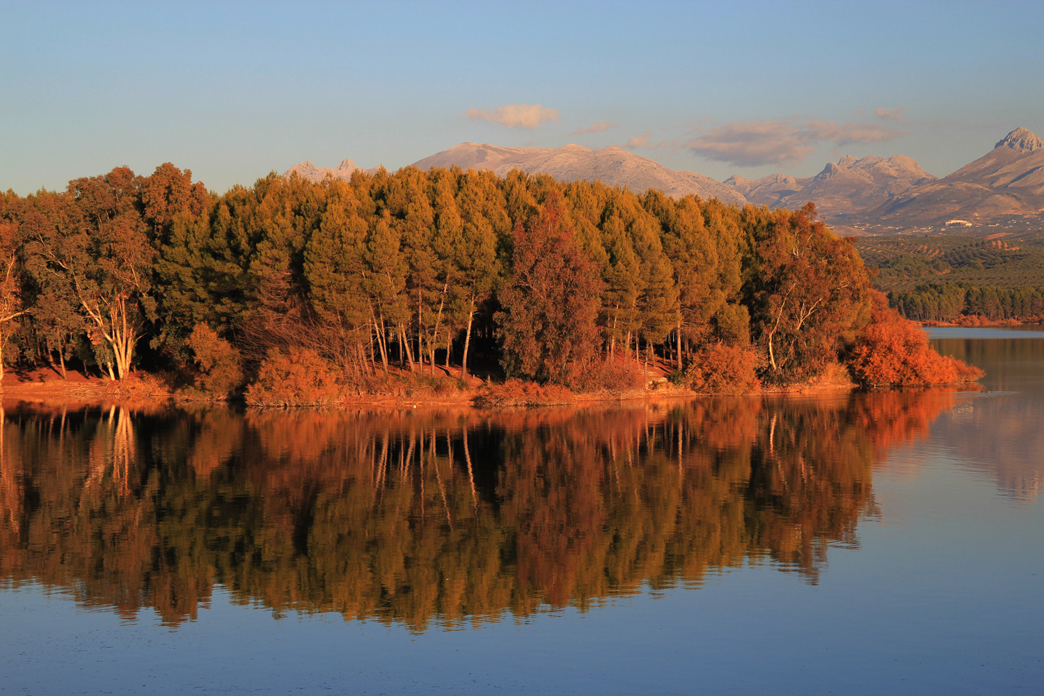 "Autumn Reflection" - Pantano de Cubillas - L04443